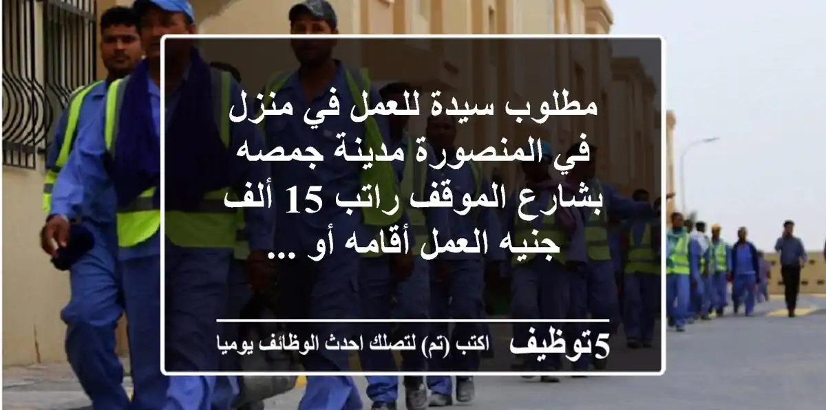 مطلوب سيدة للعمل في منزل في المنصورة مدينة جمصه بشارع الموقف راتب 15 ألف جنيه العمل أقامه أو ...